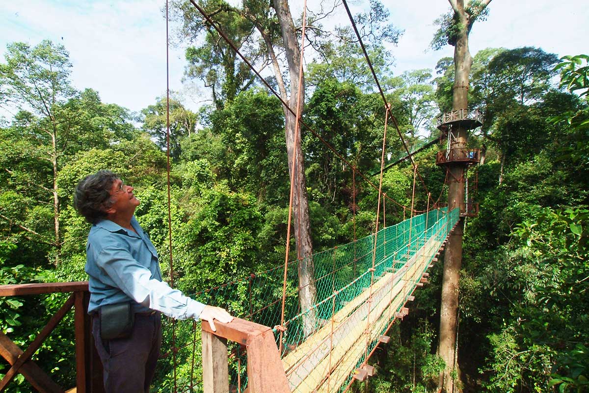 Danum Valley Canopy Walkway