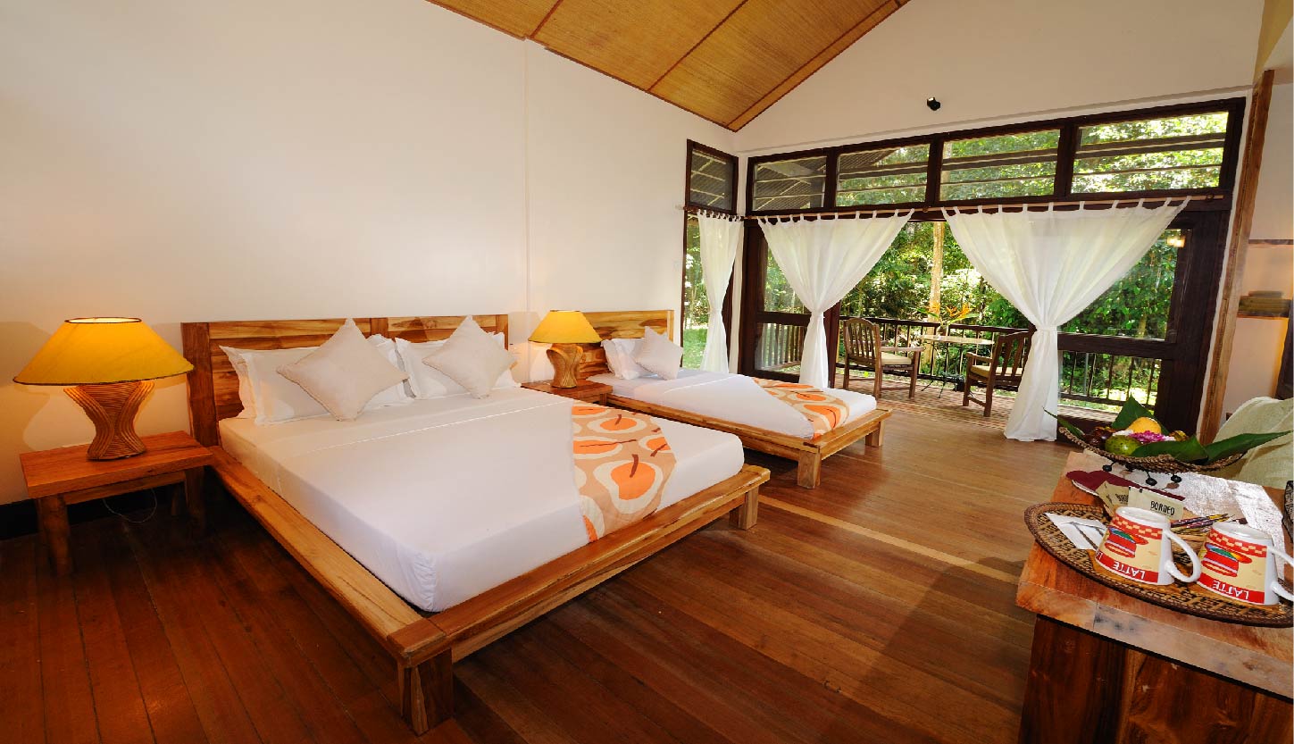 Standard Room Jungle View